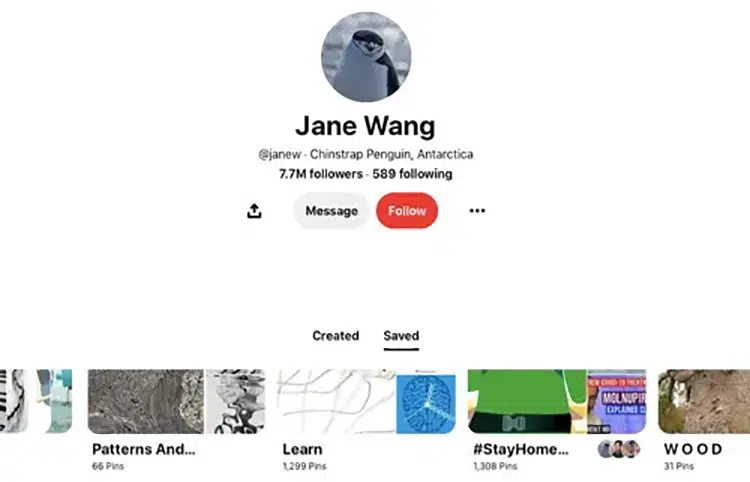Jane Wang faz dinheiro com o pinterest