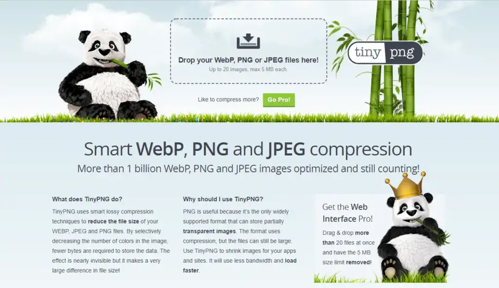 TinyPNG: Compressor de imagem profissional